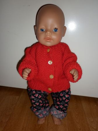 rood vest en broek met rozen 43-46 cm